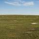 prairie dog town