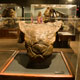 museum of the rockies