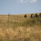 national bison range
