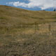 national bison range