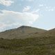 antelope