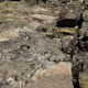 rock face