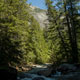 trail to avalanche lake