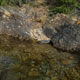 crystal clear water