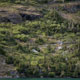 bear on the hillside