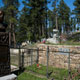wild bill hickok's grave