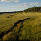 meadow view
