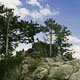 first road trip: rocky mountains