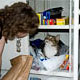 cabinet cat is caught