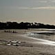 mike in australia: torquay