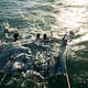 mike in australia: boom netting