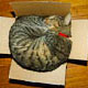 cat worm