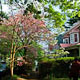 spring on schenley