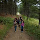 journey to buddyland