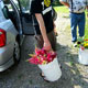 picking flowers at dr. fish's