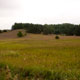 aten place meadow